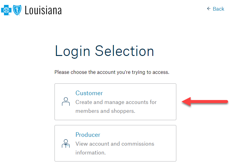 Screenshot of login selection page