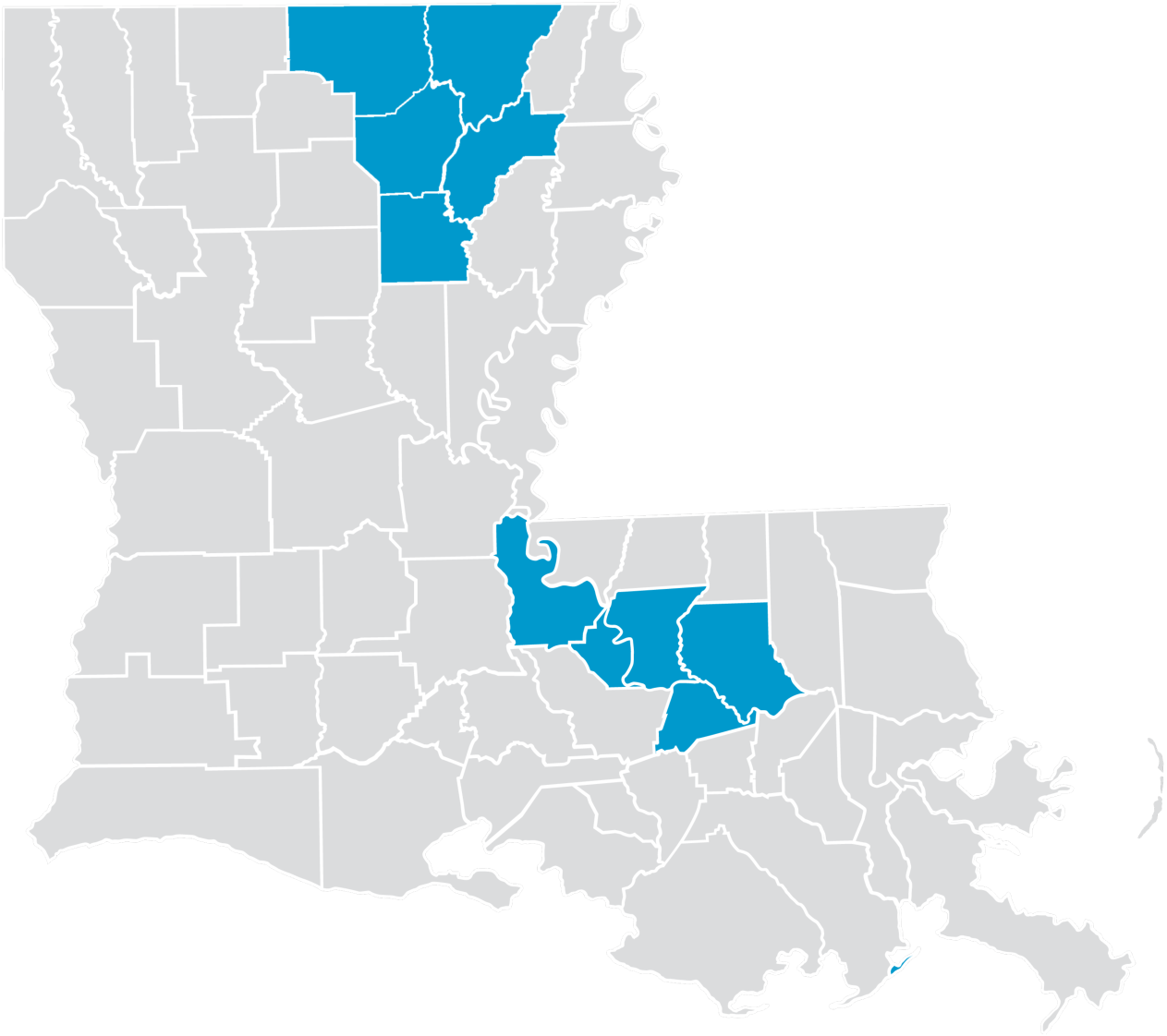 Map of Louisiana showing parishes where Precision Blue is offered